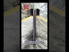 Panel de pared de la ducha de moldeo de placa base de vinilo decorativa 10 mm